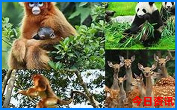 7月适合去哪个地方旅游